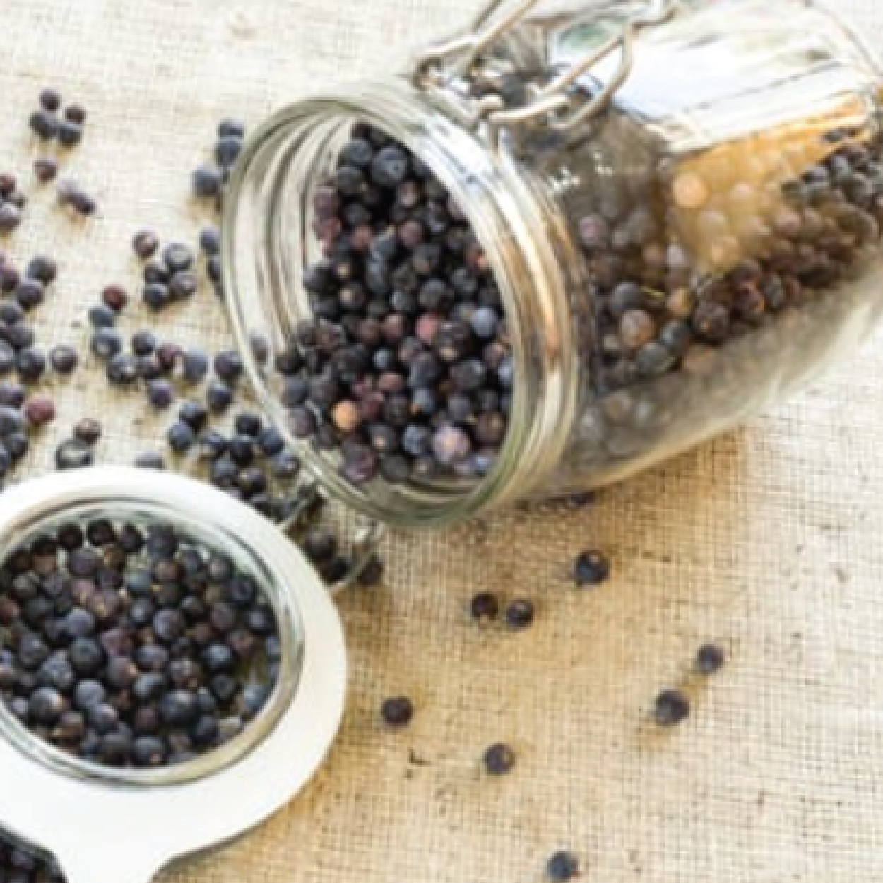 Elderberry Syrup (Guest Instructor: Kristie Betts - Grounded Herbs) : August 13