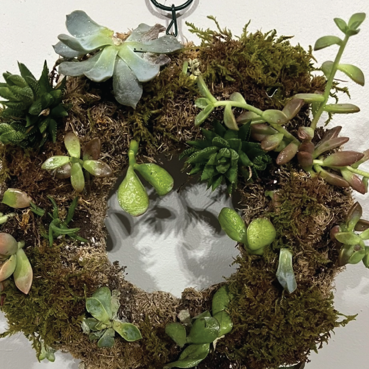 ON THE ROAD : Living Succulent Wreath or Centerpiece : March 12. By 1 get 1 1/2 off.