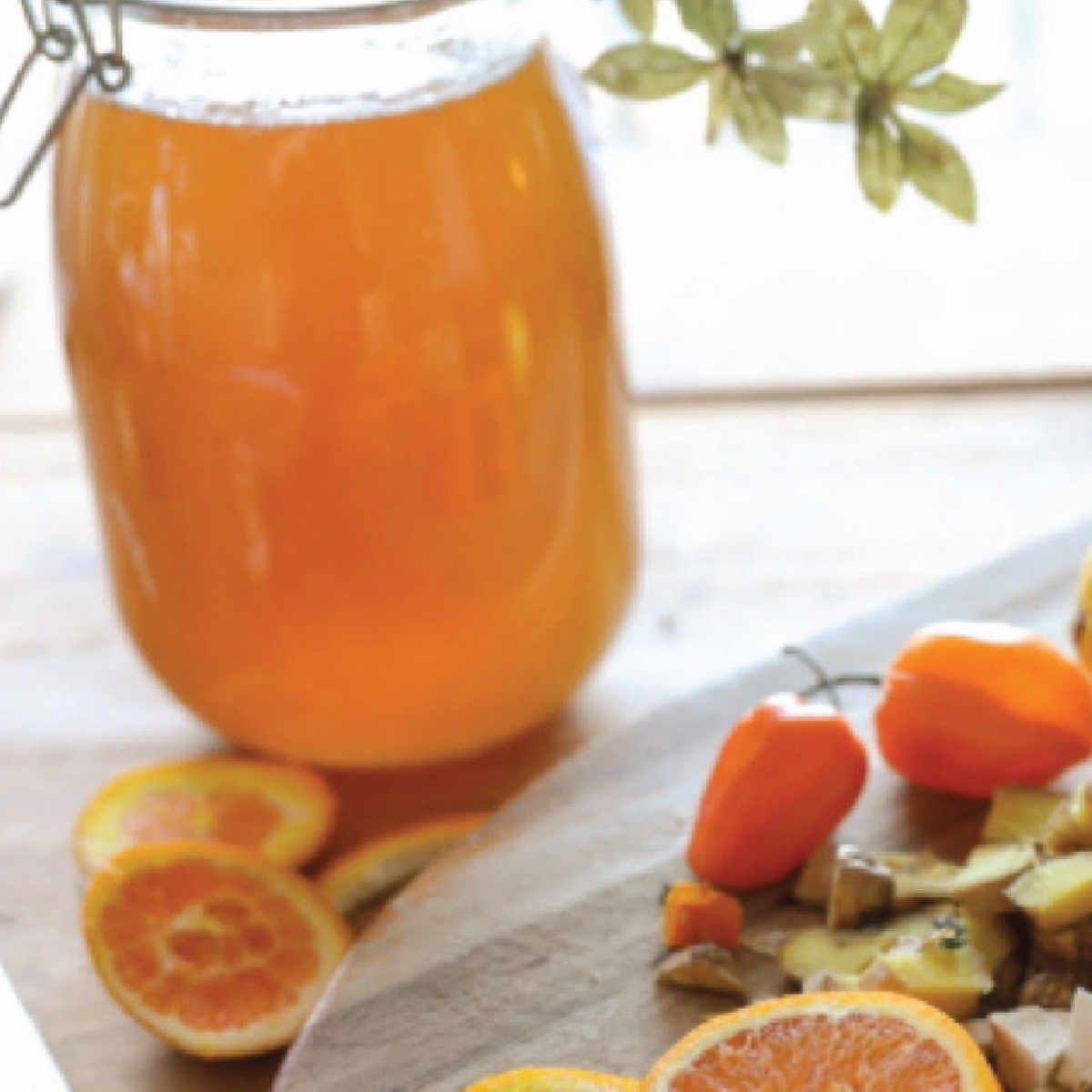 Fire Cider - Guest instructor Kristie Betts : November 18
