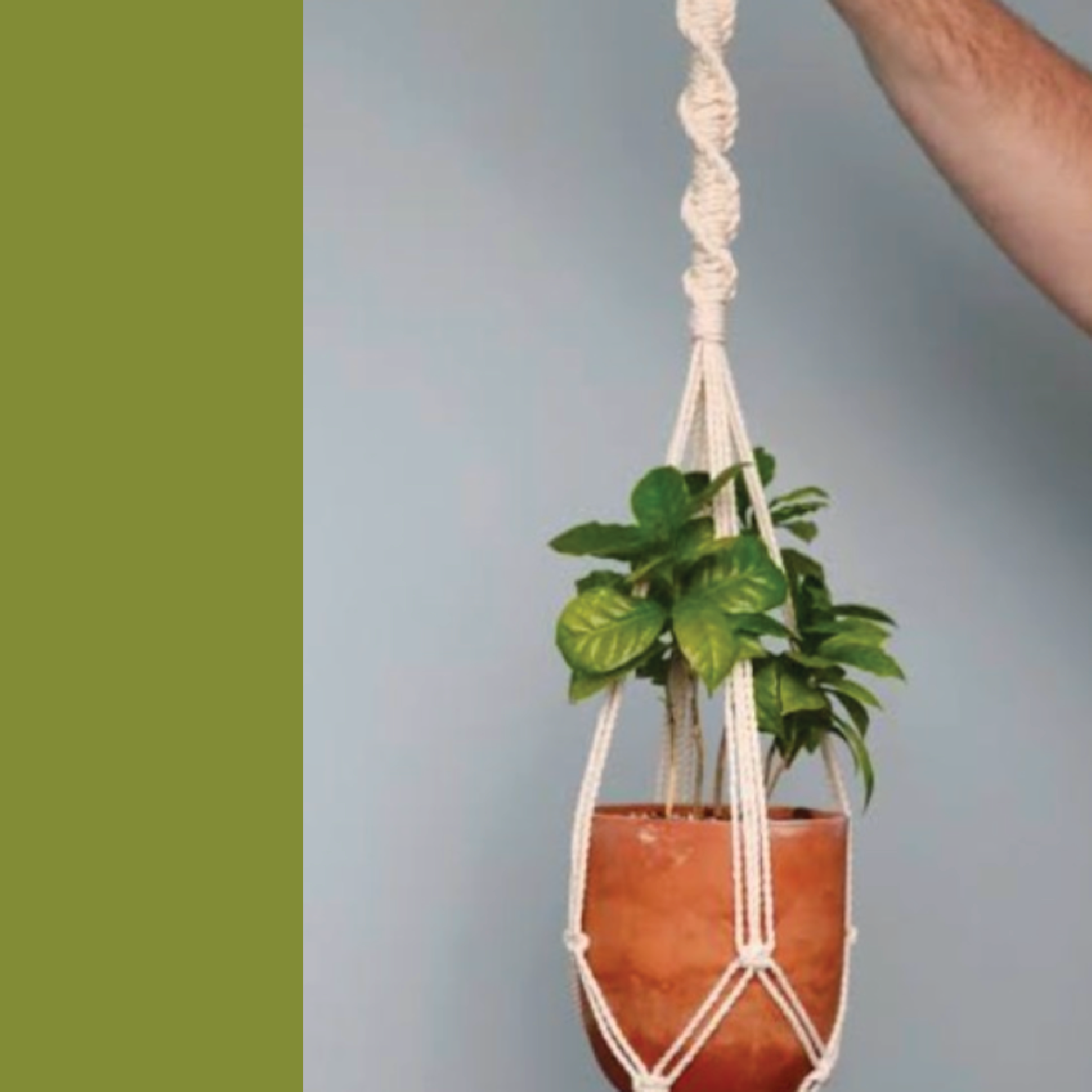 ON THE ROAD : Macrame Plant Hanger : August 11