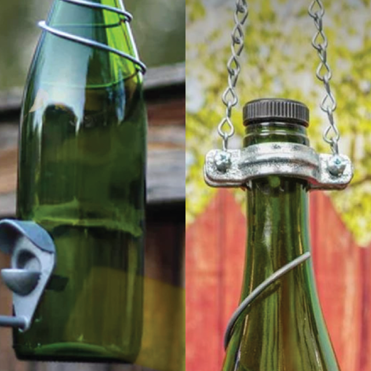 Wine Bottle Bird Feeder : August 27