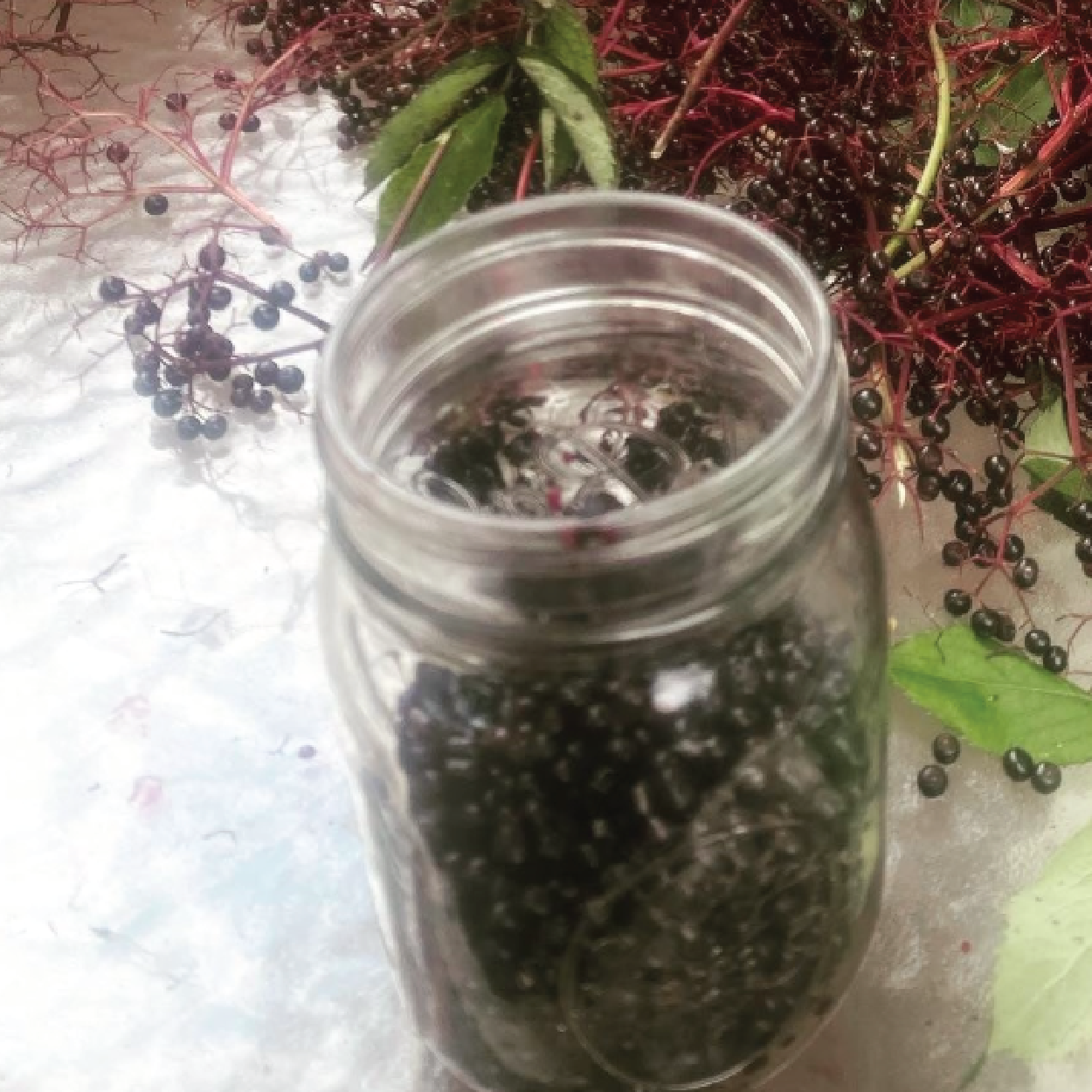 Elderberry Syrup (Guest Instructor: Kristie Betts - Grounded Herbs)  :  August 13