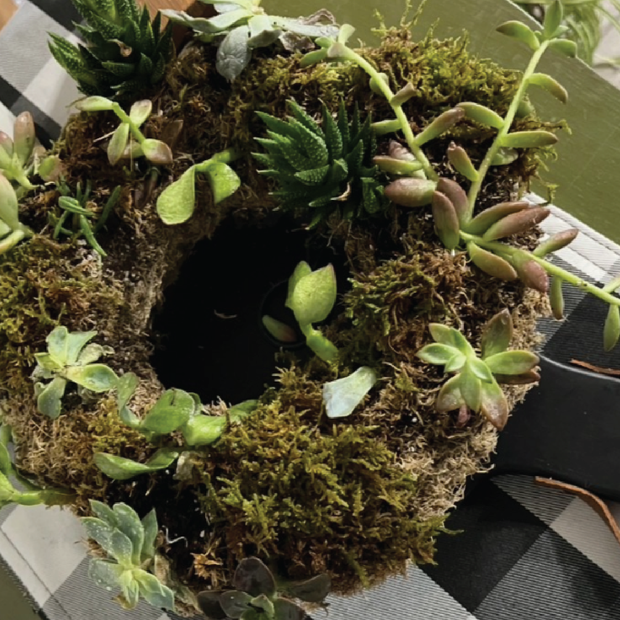 ON THE ROAD : Living Succulent Wreath or Centerpiece  :  March 12. By 1 get 1 1/2 off.