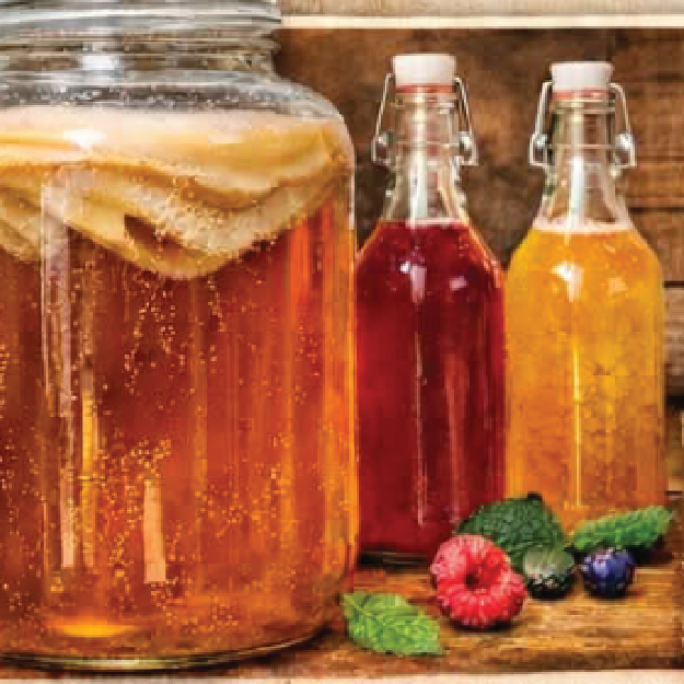 Beginner Kombucha Brewing : September 23