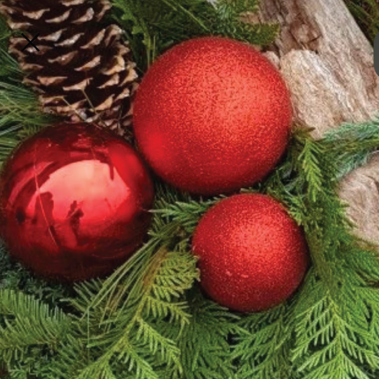 Seasonal Porch Pot  :  December 1