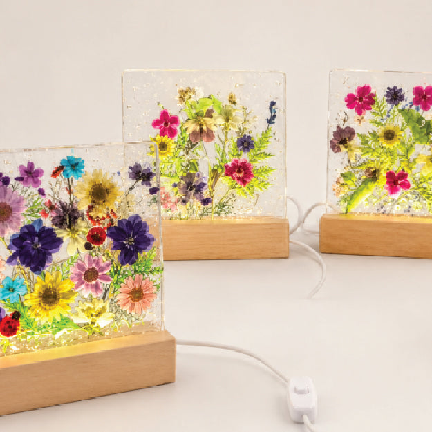 ON THE ROAD  :  Large Resin & Floral Light  :  June 16