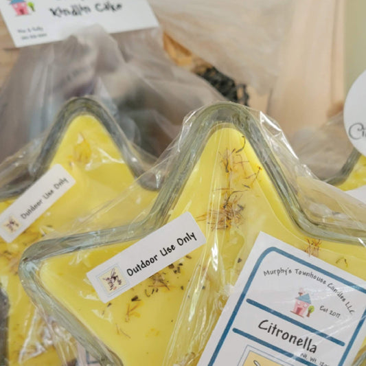 Citronella Candle & Fire Starters (Guest Instructor: Kim with Murphy’s Townhouse Creations) June 23