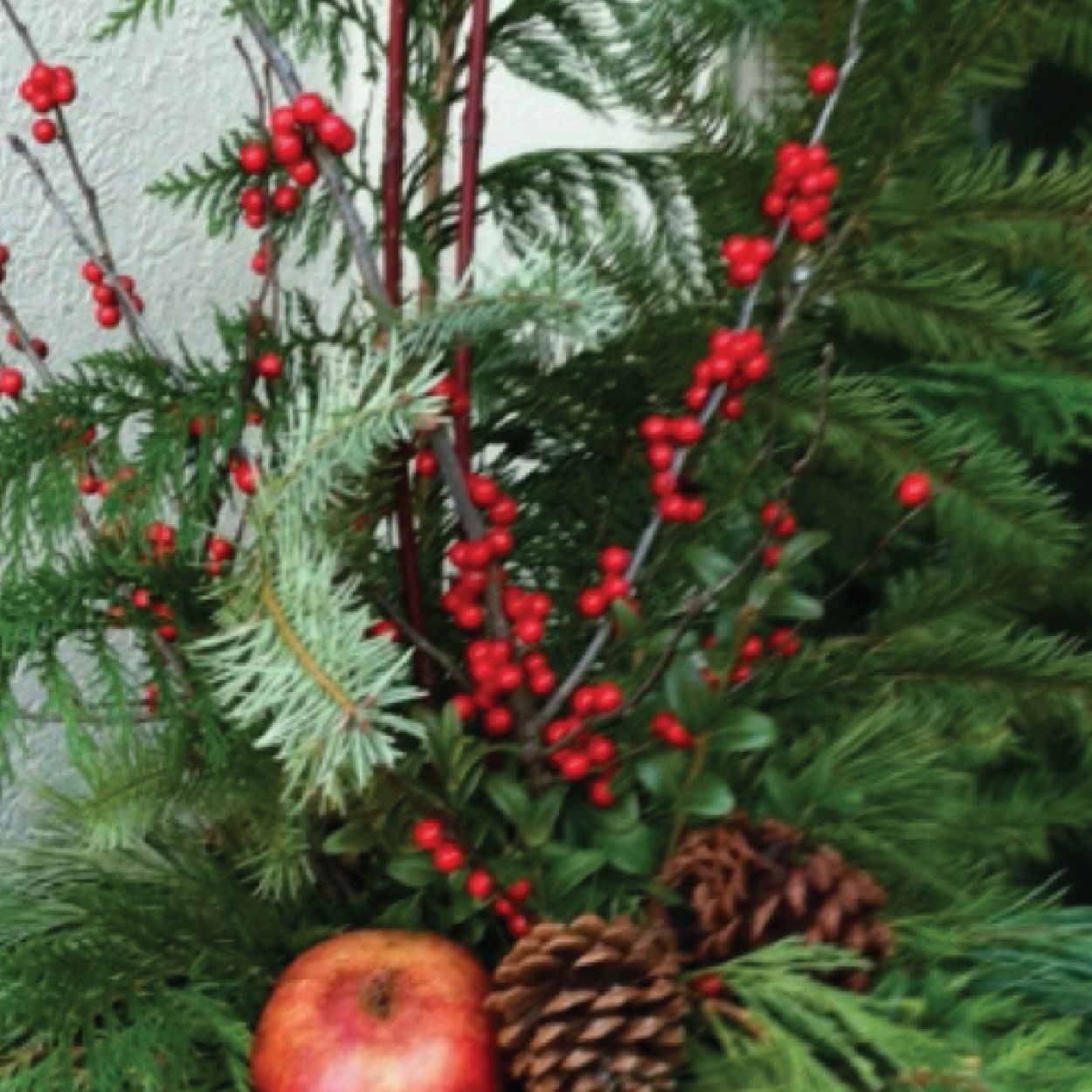 Seasonal Porch Pot  :  December 1