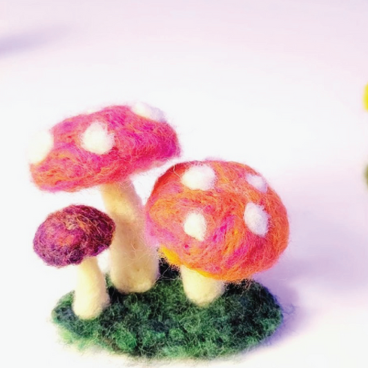 Felting Mushrooms  :  April 30