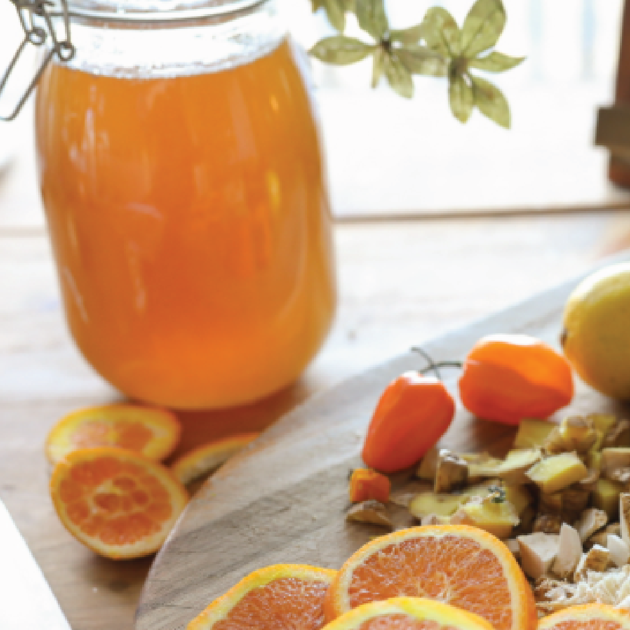 Fire Cider (Guest Instructor Kristie Betts)  :  November 19