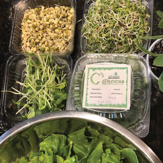 Introduction To Micro Greens (Guest instructor Master Gardener, Cheryl McGowan) : January 19